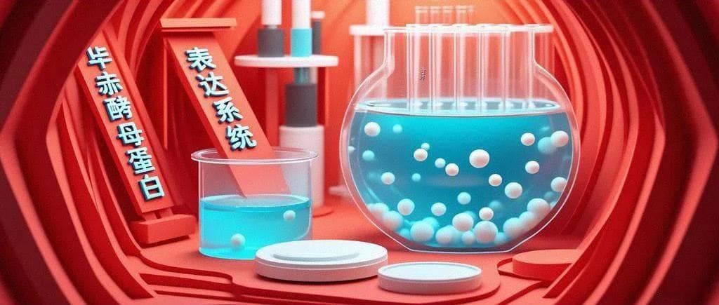 蛋白纯化：毕赤酵母蛋白表达系统全解析