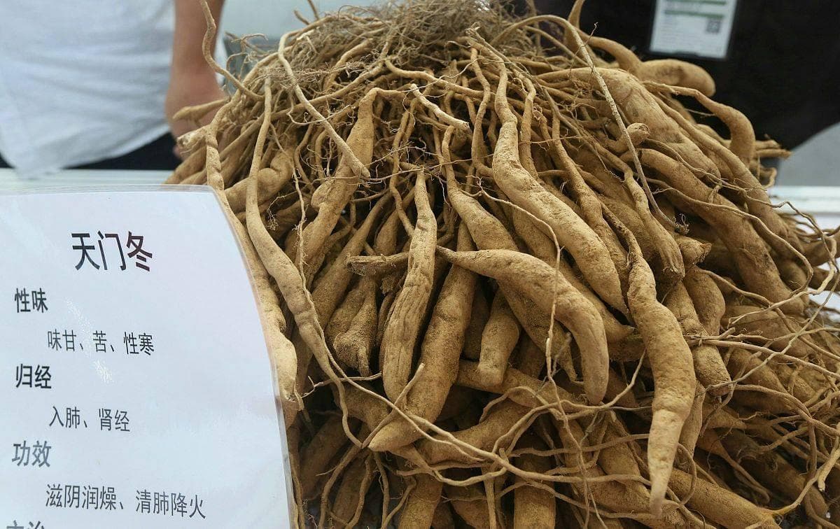 菊花沙参汤清肺健脾的制作技巧