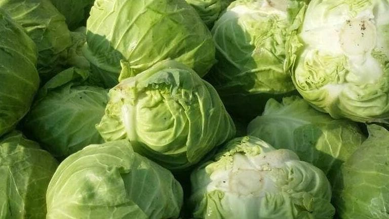 高蛋白蔬菜排行榜：黄豆含量最高，每百克达36克