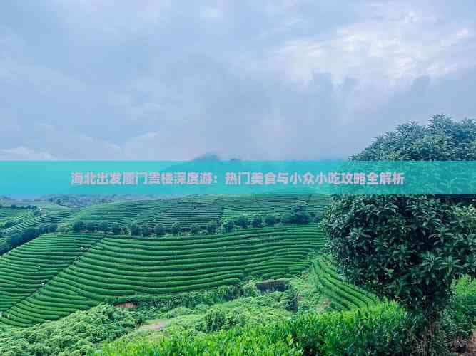 海北出发厦门贵楼深度游：热门美食与小众小吃攻略全解析