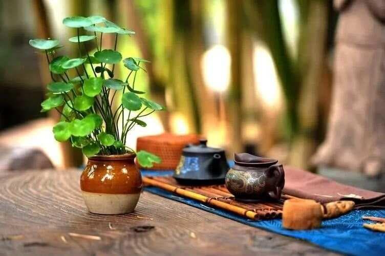 茶禅一味：内心素净的至高境界