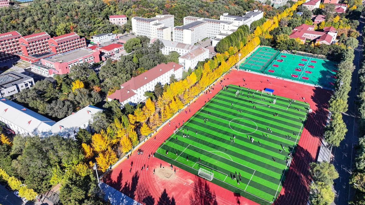 中国大学排名：多维度透视与深度解析