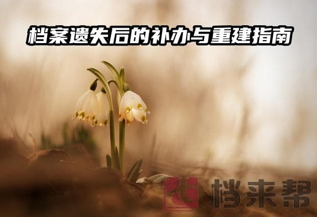 档案遗失后的补办与重建指南！
