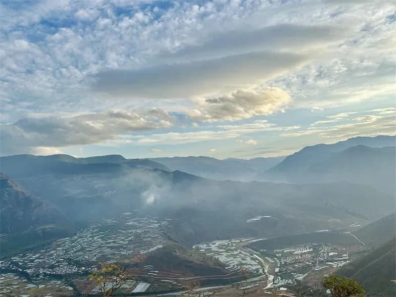 云南双柏：同心筑梦守护珍稀绿孔雀栖息家园