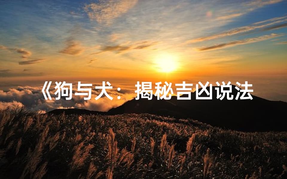 《狗与犬：揭秘吉凶说法之谜》