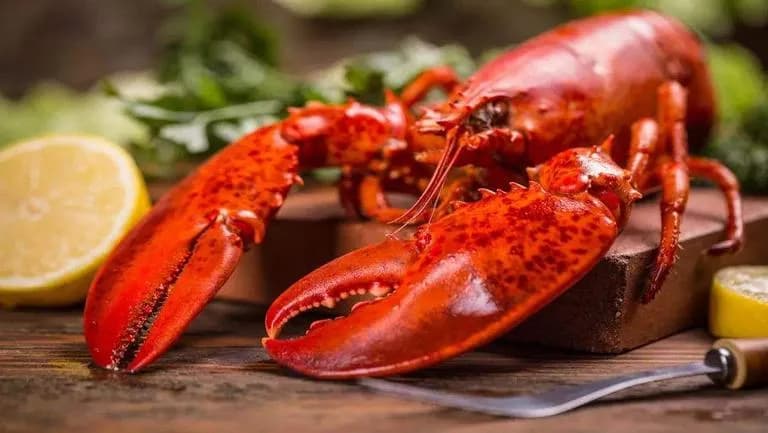 海鲜是发物食物吗
