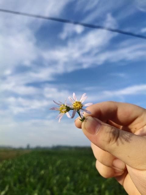 鼓浪屿玩一圈要多久？如何安排时间，才能让旅行不虚此行？