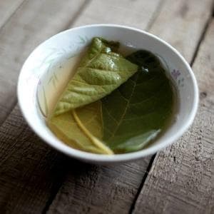 枇杷叶煮水喝有什么功效