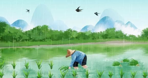 谷雨时节养生指南：健运脾胃，以备夏日