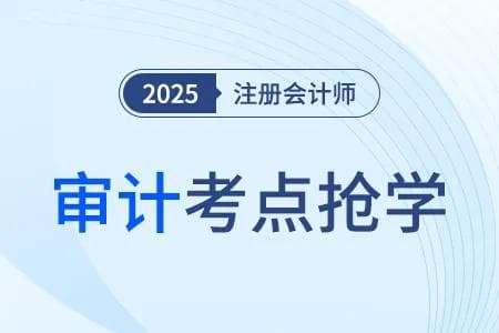 注册会计师考试审计科目知识点详解：审计业务对独立性的要求