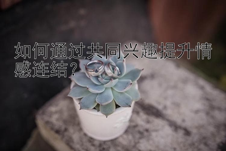 如何通过共同兴趣提升情感连结？