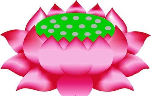 将般若智慧运用于日常生活的公式
