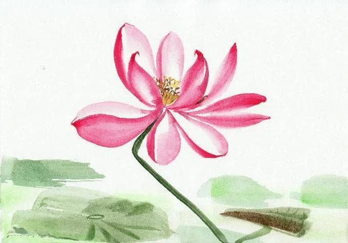 揭秘名字背后的奥秘：姓名学的科学与智慧