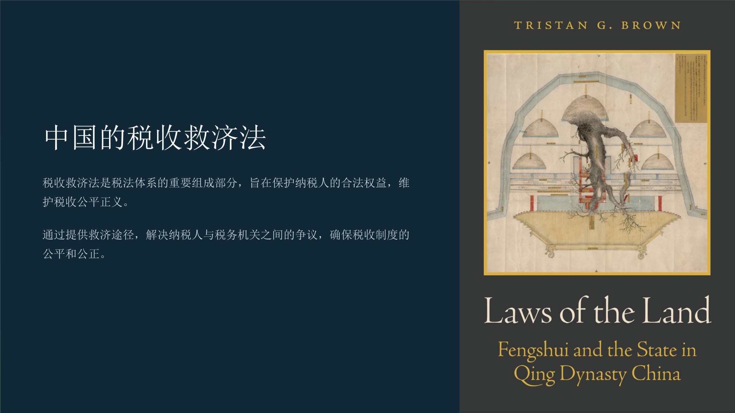 中国的税收救济法