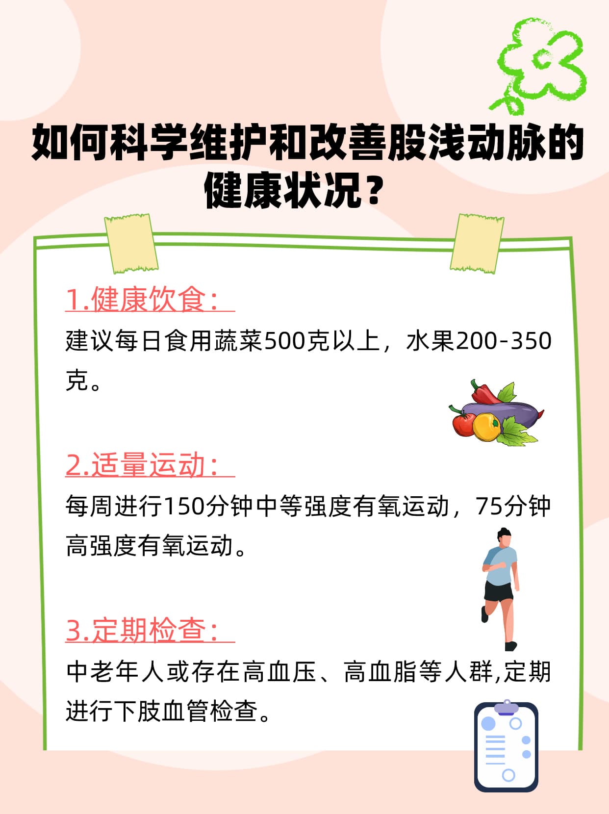 股浅动脉：守护下肢健康的“关键角色”