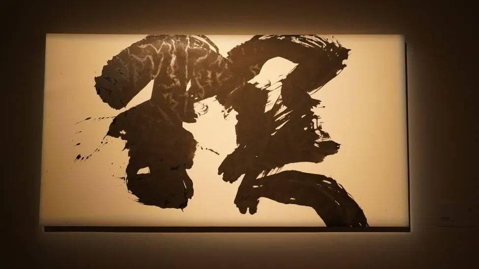 许静书法展融合传统现代，创新“酒书”成亮点