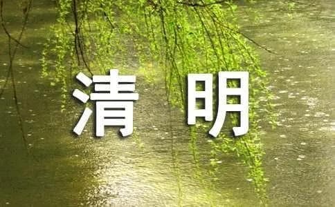 三年级学生的清明节故事合集