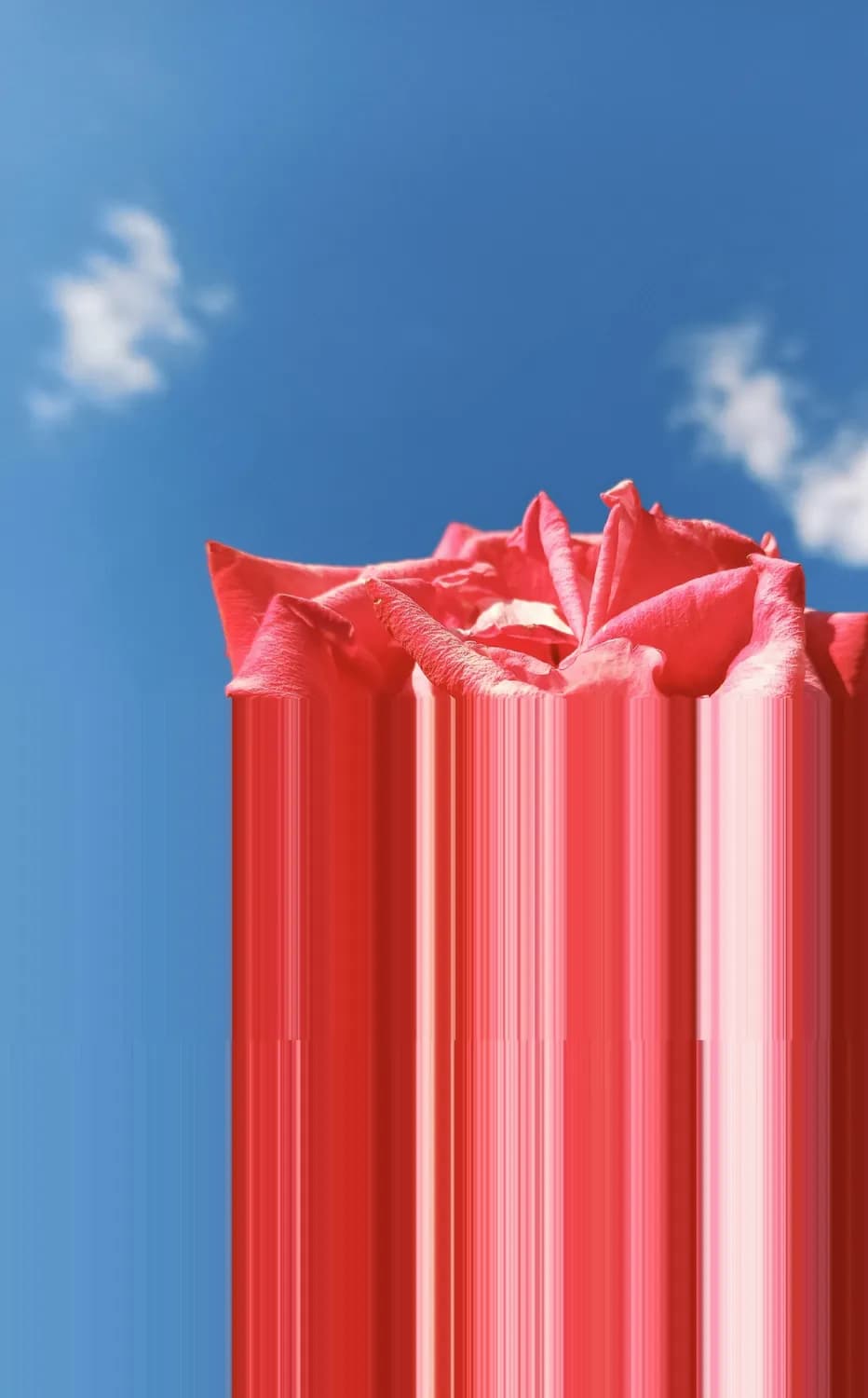 职场人必备：给老板的新年祝福语大全