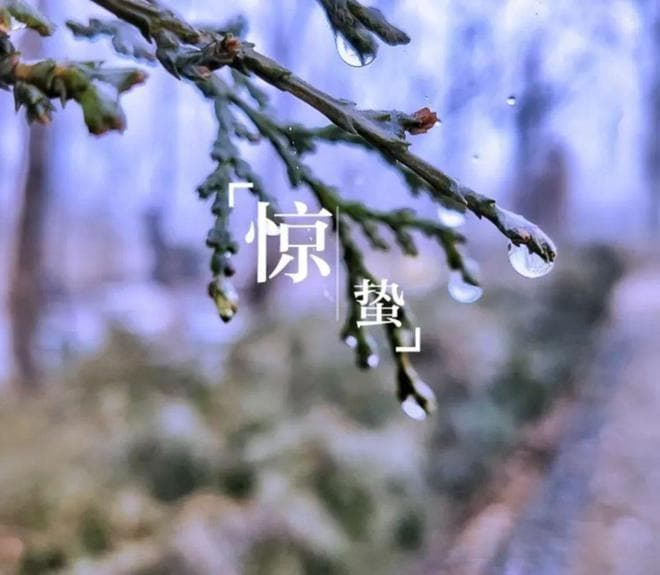 今日二月初六惊蛰节气，农村老人说最怕“二月初六晴”，有啥征兆？
