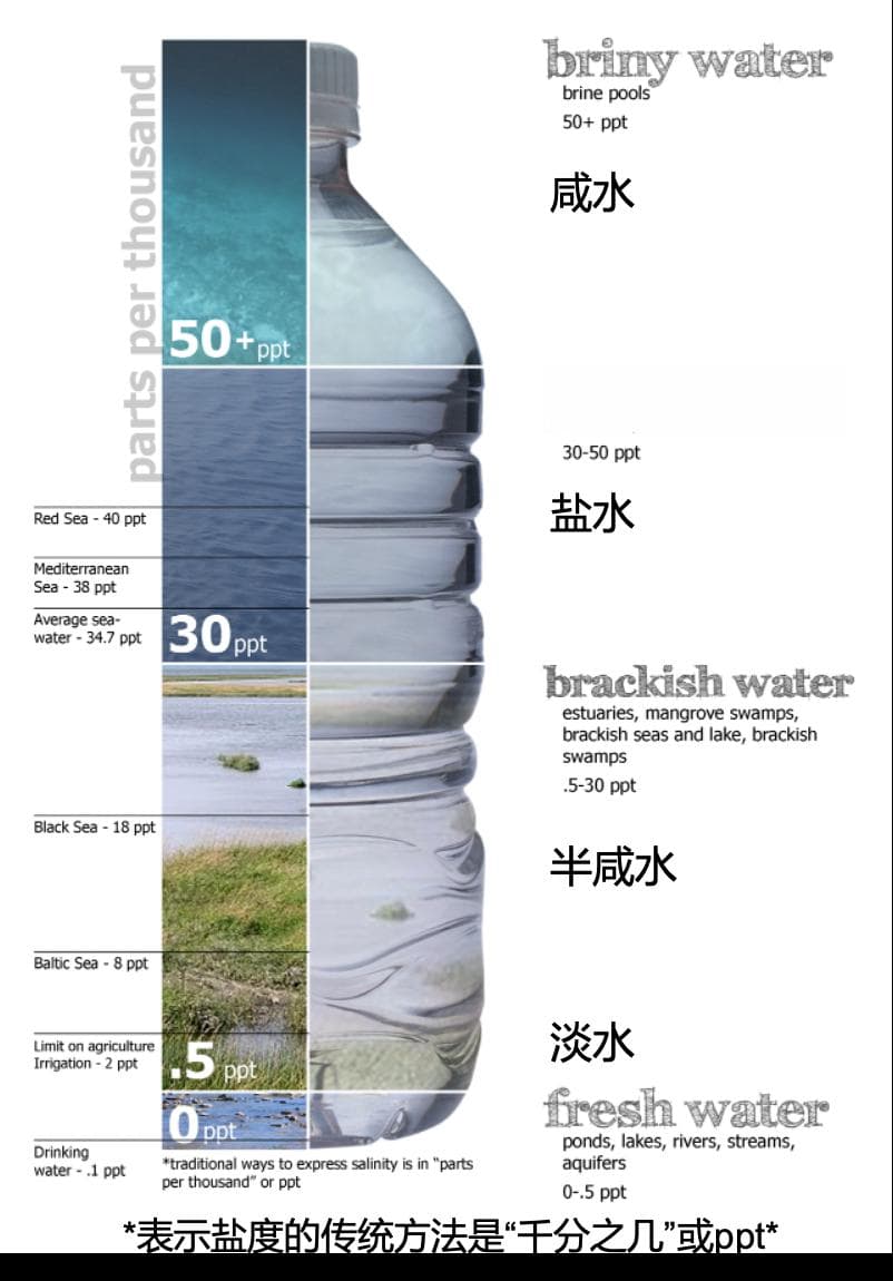 “咸淡争霸赛”：大西洋VS太平洋，盐度差距悄然拉大！