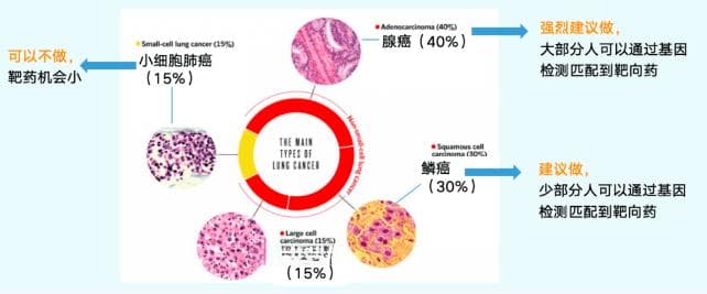 什么是肿瘤基因，肿瘤基因检测有必要做吗？一文带你了解！