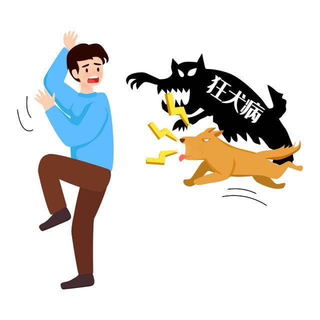 狂犬病一旦发病，致死率几乎为100%！治疗关键在于预防！