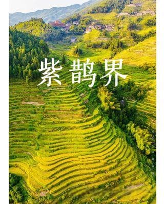 紫鹊界梯田游玩攻略：门票、周边住宿美食及景点推荐