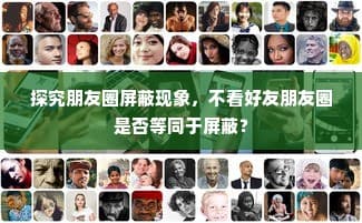 朋友圈屏蔽现象的深度探究：界限微妙的屏蔽与不被看见的真实世界