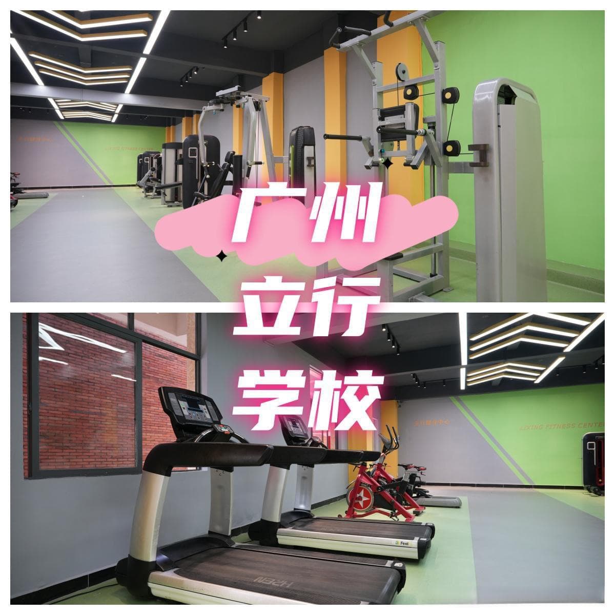 广东肇庆艺考文化课告诉你公交车安全锤的正确打开方式！