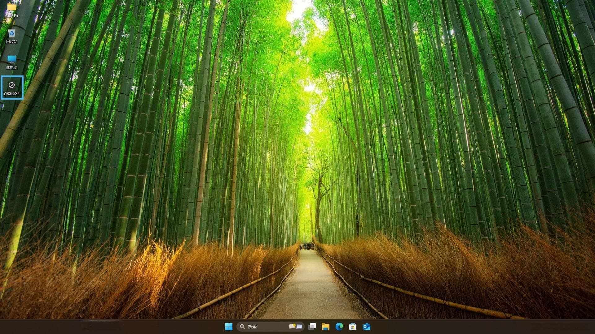 如何从 Windows 11 桌面删除「了解此图片」图标