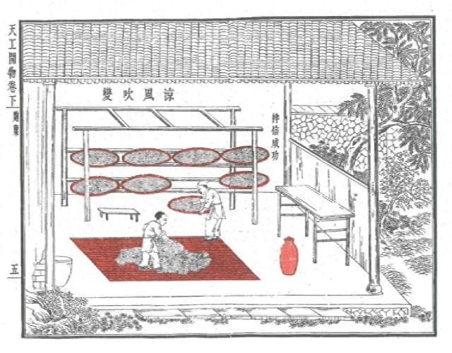 物的历史——中国酱油及日常之物的启示