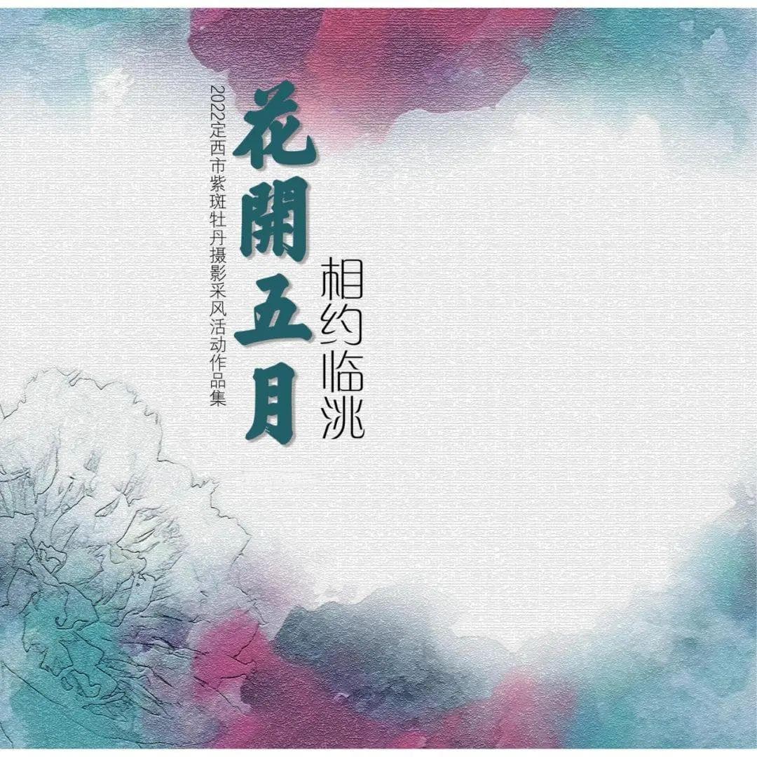 临洮紫斑牡丹：西北特有的神秘华贵之美