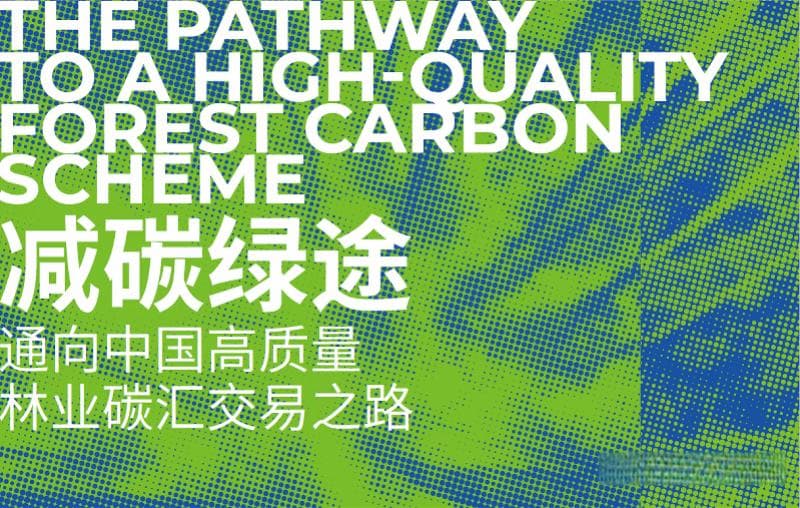 “植树造林”热潮下，中国林业碳汇市场如何实现可持续发展？