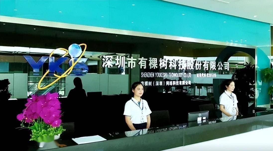 深圳跨境电商巨头陨落：有棵树如何从50亿年收入走向负债深渊？