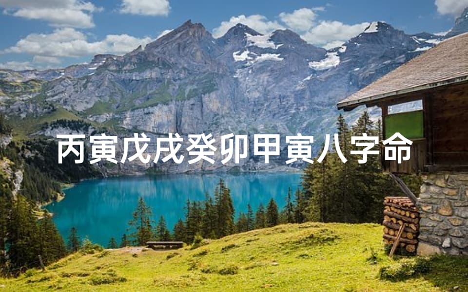 丙寅戊戌癸卯甲寅八字命理深度解析