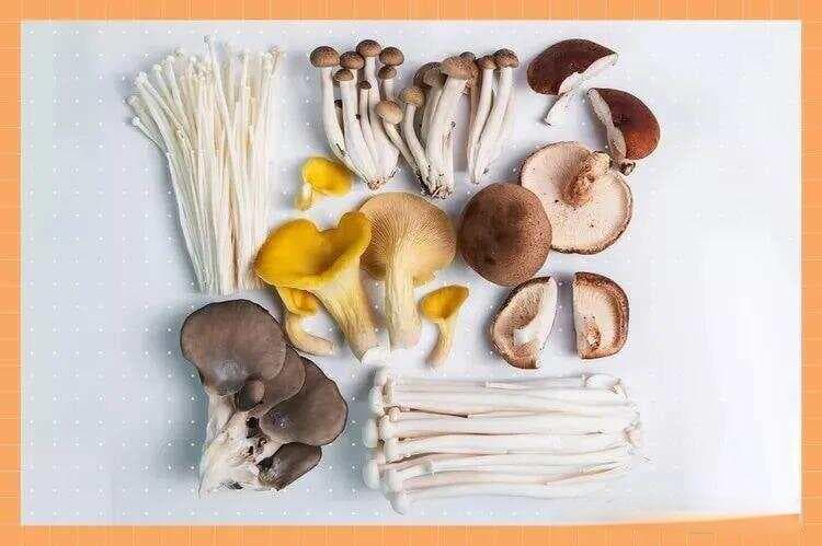 饮食指南：如何清洗和储存蘑菇？