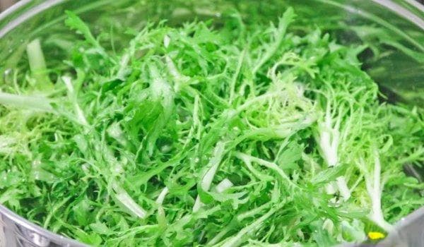 苦菊怎么做才好吃不苦？三种实用烹饪技巧让你轻松驾驭这道美味