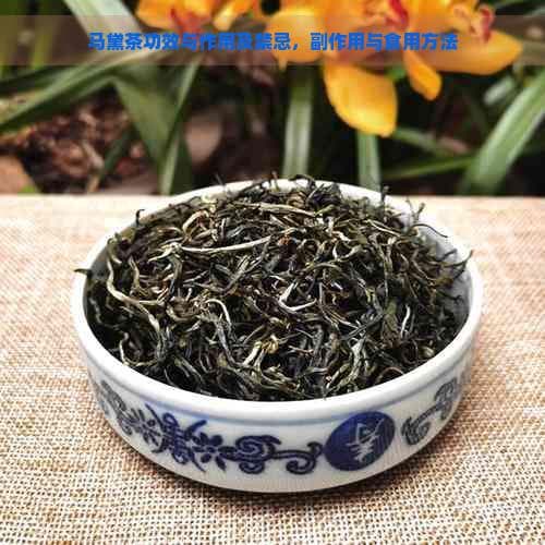 马黛茶功效与作用及禁忌，副作用与食用方法