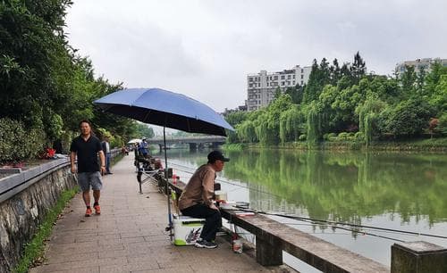 夏季钓鱼技巧之起竿好时机（抓住钓鱼高峰期）