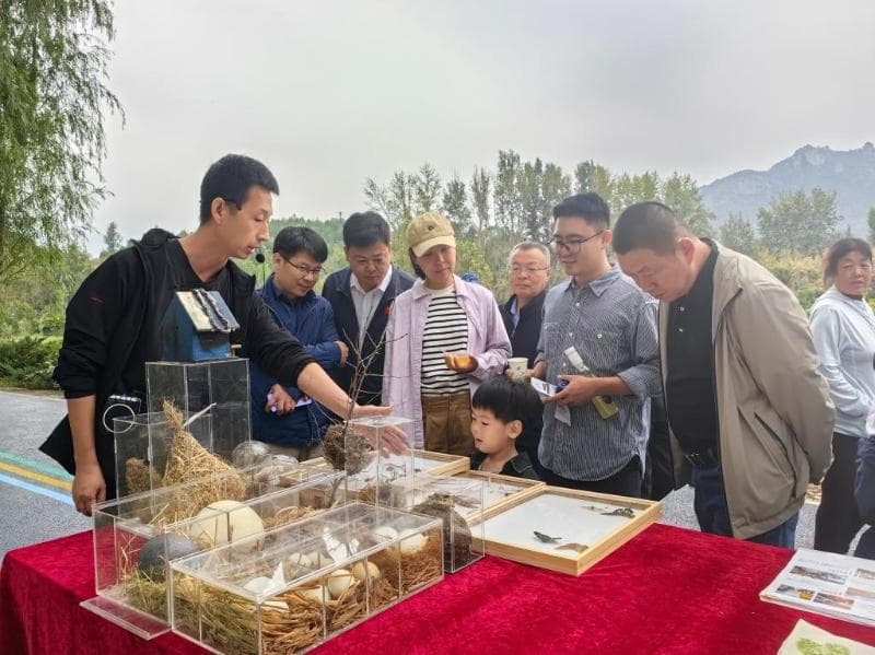 密云北庄举办生态观鸟节，观鸟经济带动绿色发展