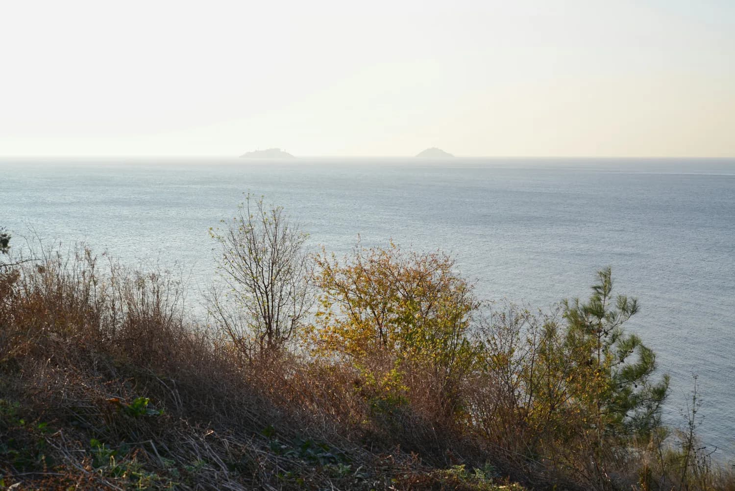 秋冬打卡：台山古舟岛绝美海景