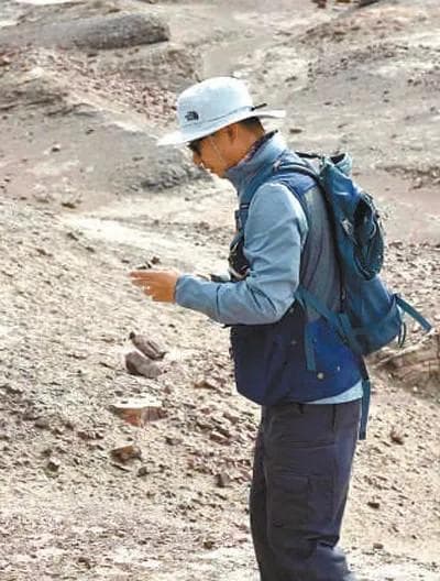 古生物学家冯卓：从化石中，探索几亿年前的地球