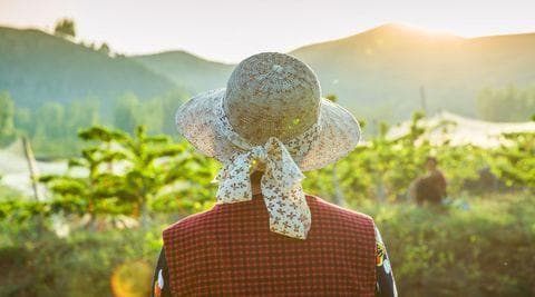 城镇户口和农村户口一样吗？详解两者差异及迁户指南