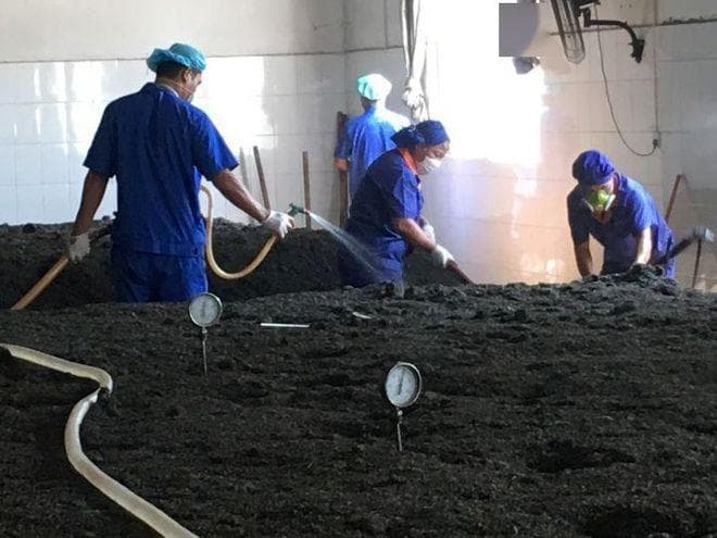 传统六堡茶vs现代六堡茶，到底谁更值得入？