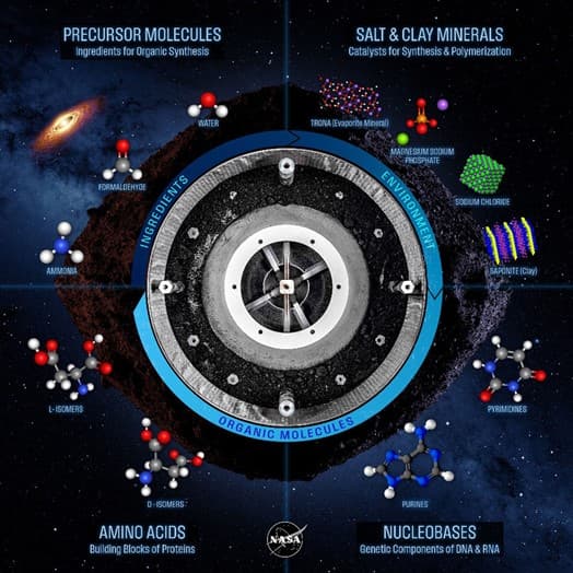 NASA探测器带回的小行星“贝努”样本中发现了多种氨基酸