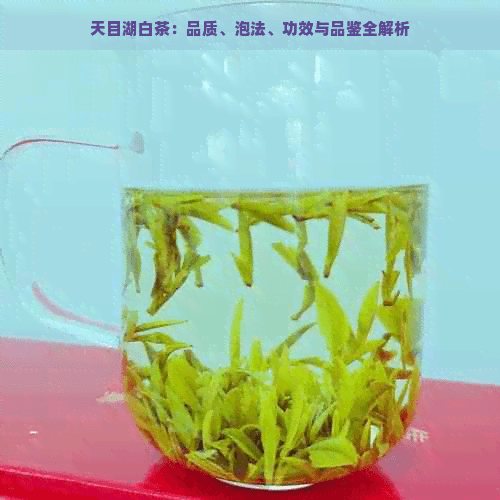 天目湖白茶：品质、泡法、功效与品鉴全解析