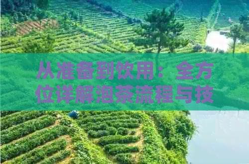从准备到饮用：全方位详解泡茶流程与技巧，让你品茗更得心应手