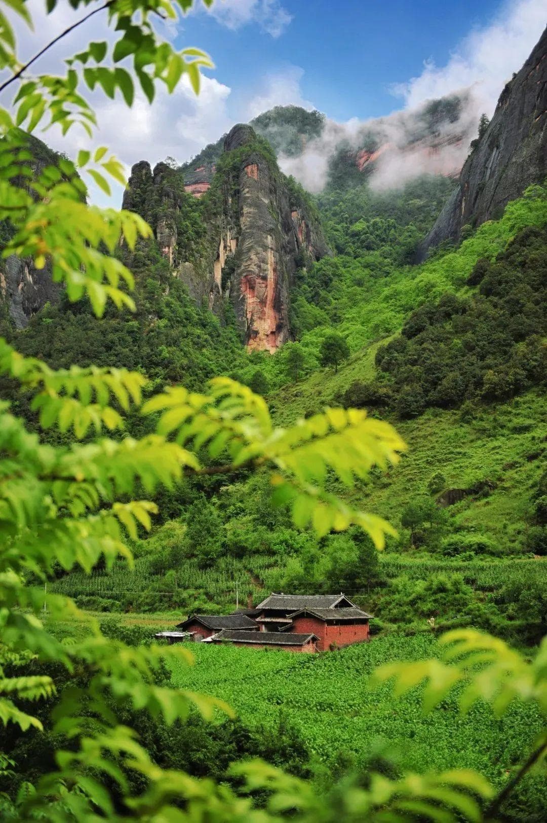 丽江老君山生物多样性保护工作成效显著