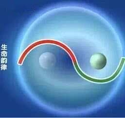 一个被忽视的养生要穴——长强穴(尾闾)