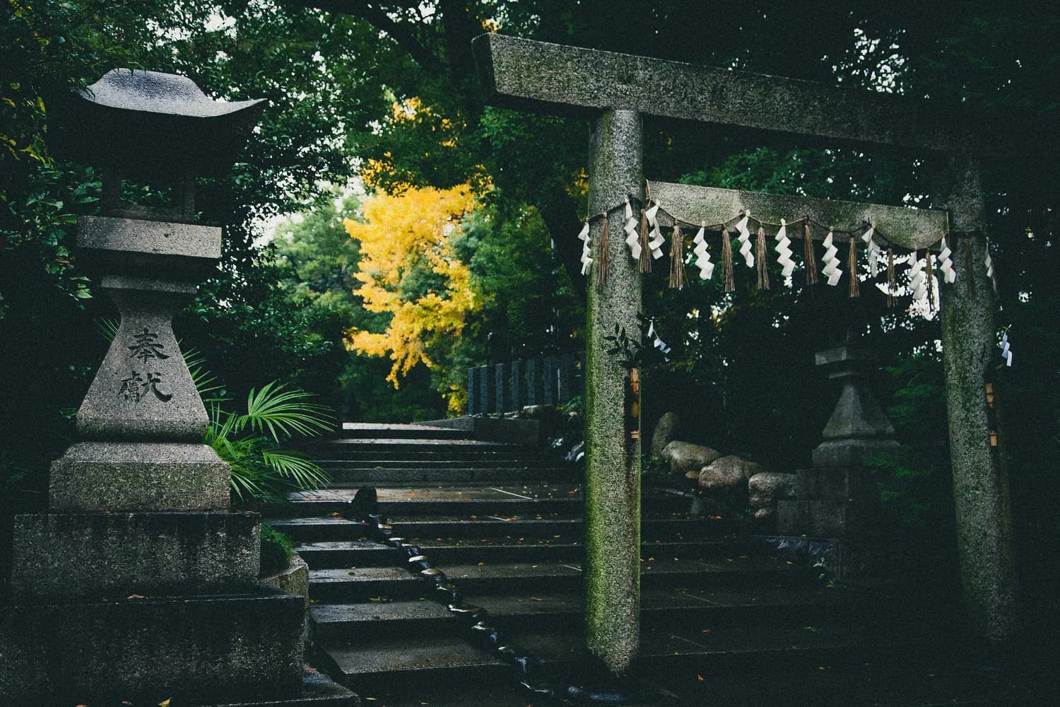 《暴太郎战队咚兄弟》：被通缉的黑战士与已婚粉战士大叔的另类日常